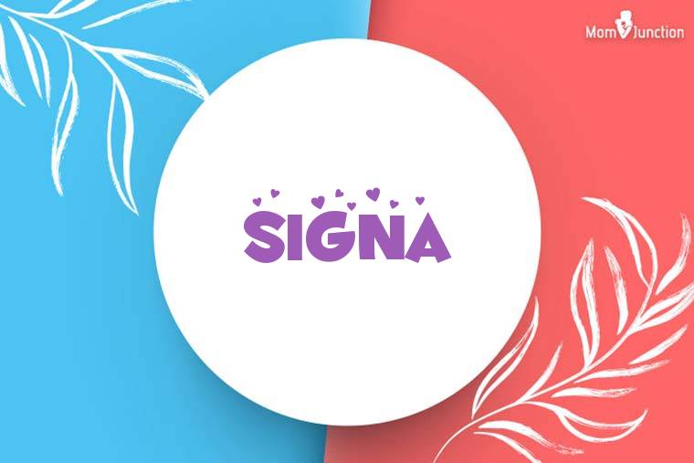Signal中文版