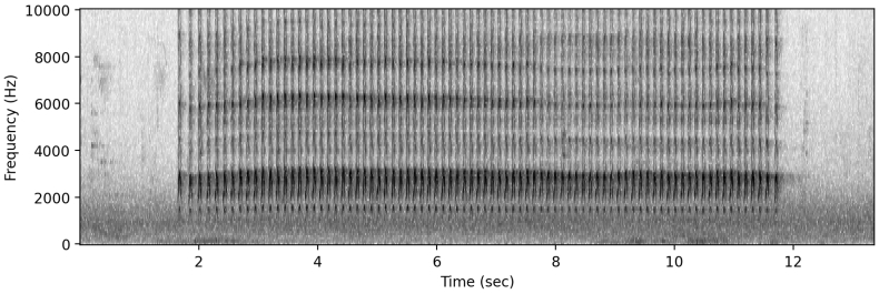 Signal 真的比 WhatsApp 安全吗？2024年深度加密对比报告