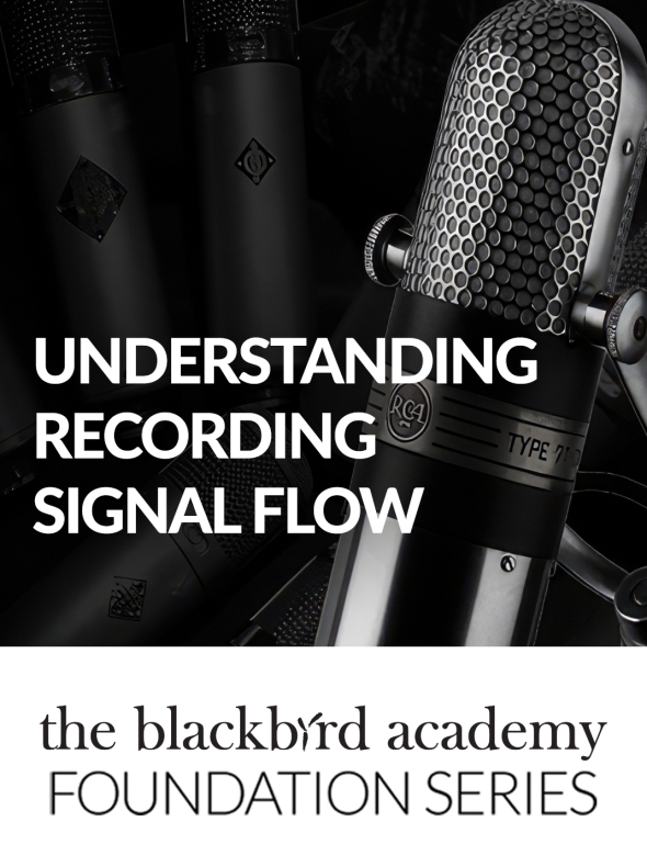 Signal 贴纸和表情符号是否加密？关于趣味功能的隐私疑问