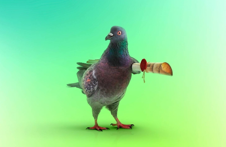 Telegram 功能丰富但安全性存疑？Signal如何取舍平衡？